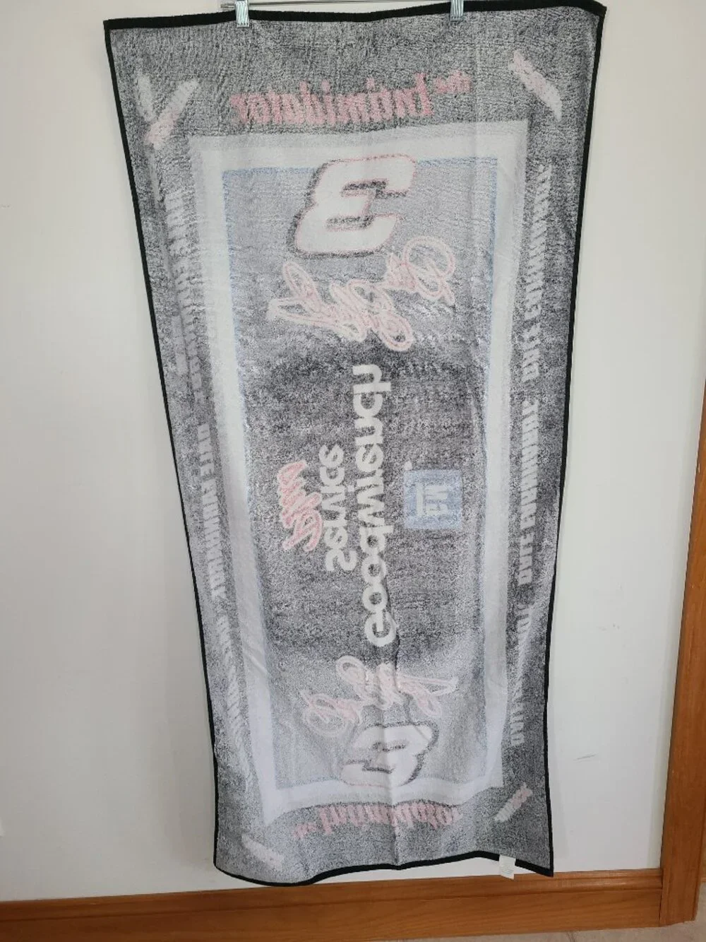 Nascar dale earnhardt